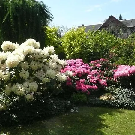 Apartman Privathaus Wehle Gohrisch