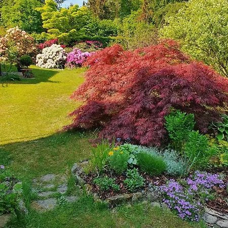 Privathaus Wehle Kurort Gohrisch