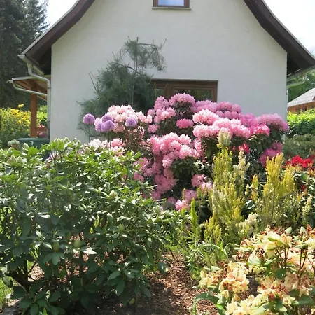 Privathaus Wehle Apartment Kurort Gohrisch