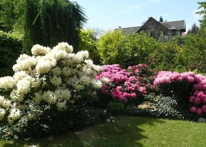 Apartment Privathaus Wehle Kurort Gohrisch